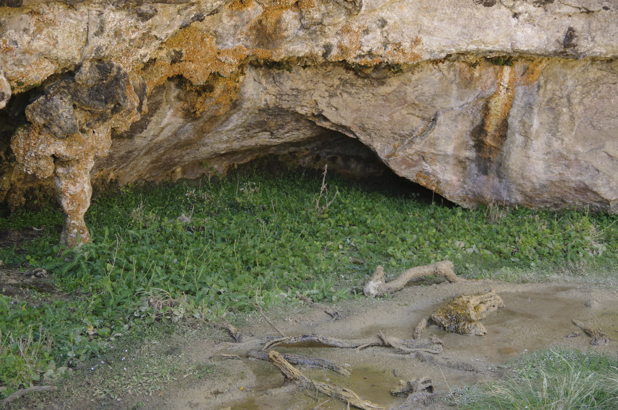 12 26 December 2019 14 01 01   0399